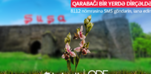Bakcell abunəçiləri üçün Qarabağ Dirçəliş Fonduna SMS-lə ianə etmək imkanı