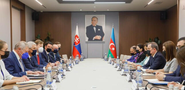 Azərbaycan və Slovakiya XİN rəhbərlərinin görüşü keçirilib