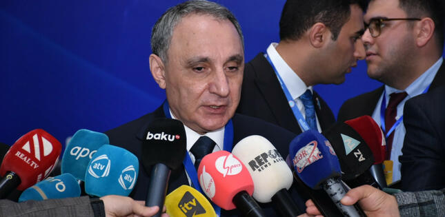 Baş prokuror: “11 yaşlı qızın dünyaya uşaq gətirməsinə görə şübhəli şəxs tutulub”
