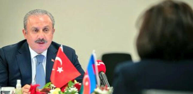 Sahibə Qafarova TBMM sədri ilə görüşüb