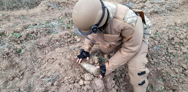 MN azad edilmiş torpaqlarda minalardan təmizlənmiş ərazilərin sahəsini açıqlayıb