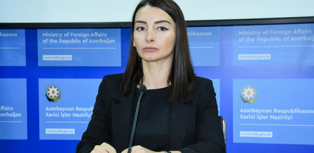 Leyla Abdullayeva Ermənistan xarici işlər nazirinə cavab verib