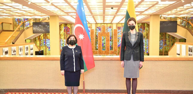 Sahibə Qafarova Litva Seyminin sədri ilə görüşüb