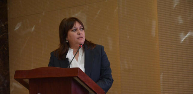 Umayra Tağıyeva: "Yağıntıların miqdarı azalıb, küləkli günlərin sayı artıb”