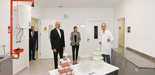 Prezident “Grand-Agro İnvitro” MMC-nin müəssisəsi ilə tanış olub, “Azbadam” MMC-nin emal zavodunun açılışında iştirak edib
