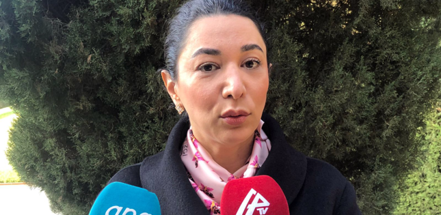Media insan hüquqları pozulmasına dair Ombudsmana şikayət verə biləcək