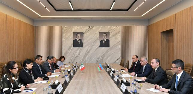 Nazir müavini Meksika-Azərbaycan parlamentlərarası dostluq qrupunun nümayəndə heyəti ilə görüşüb