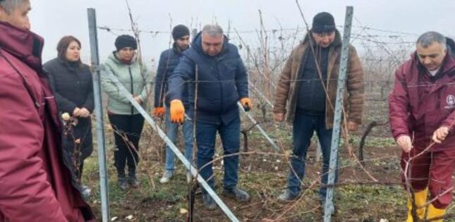 Şamaxı üzümçüləri üçün tarla seminarı <span class=